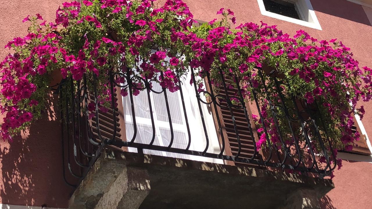 La Casa Del Colonnello Hotel Vercelli Exterior photo